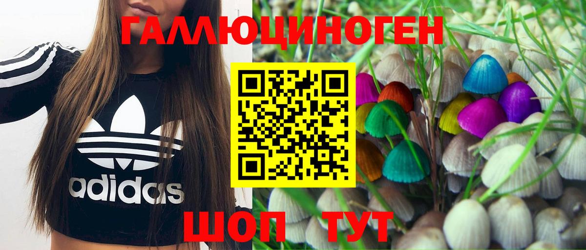 Псилоцибиновые грибы мухоморы Малгобек