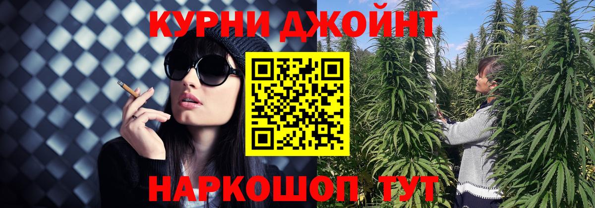 Малгобек  Каннабис гибрид  Бошки марихуана семена  Вход с VPN  Бошки марихуана LSD WEED  Конопля Amnesia 